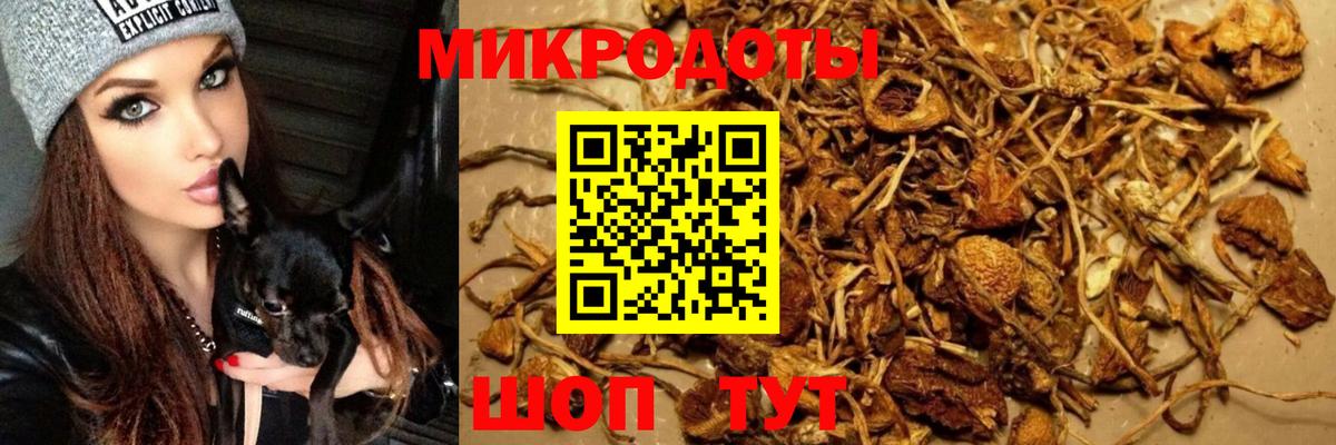 Белая Калитва  Галлюциногенные грибы прущие грибы  Вход с VPN 